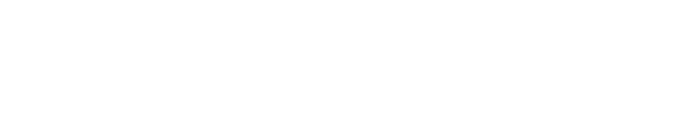 logo-SPECTRUM - Graduate school of Formal, Physical and Engineering Sciences